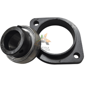 Conjunto rodamiento tapa + rodamiento lado derecho