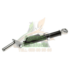 tensor lateral CBM