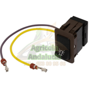 Interruptor girofaro